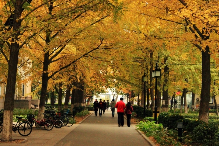 北京科技大学校园风光_北京科技大学旅游景点_北京(3