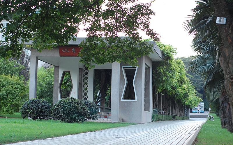 农业大学  文化广场,广为人知的"情人坡",见证着南农学子四年的青春