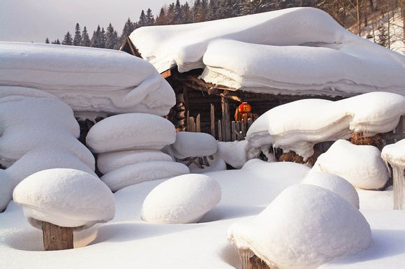 2015元旦去哪玩,首选东北雪乡啦