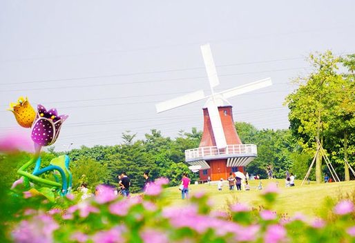 深圳有一个荷兰花卉小镇