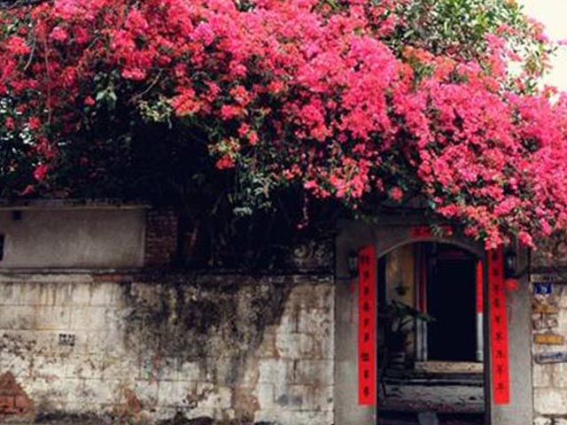 拯救咖啡，因为爱咖啡