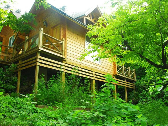春天里的“枫情山水”度假村