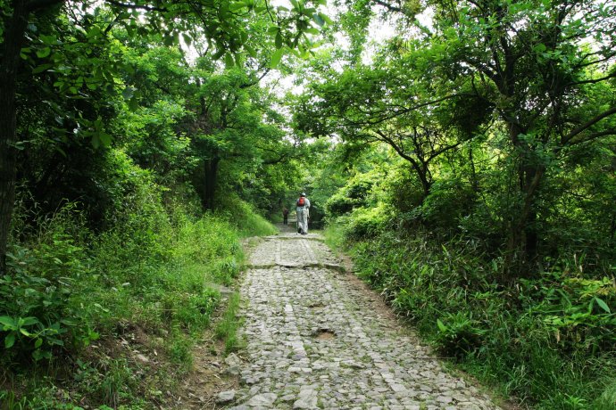 【亭溪岭古道】