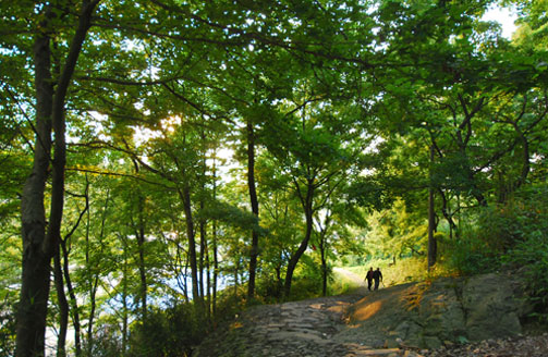 【孝子岭古道】