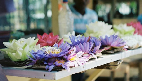 出国旅游去哪个国家好_出国旅游去哪里好玩