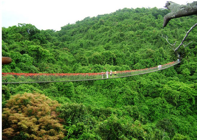 三亚鸟巢过江龙索桥:《非诚勿扰2》